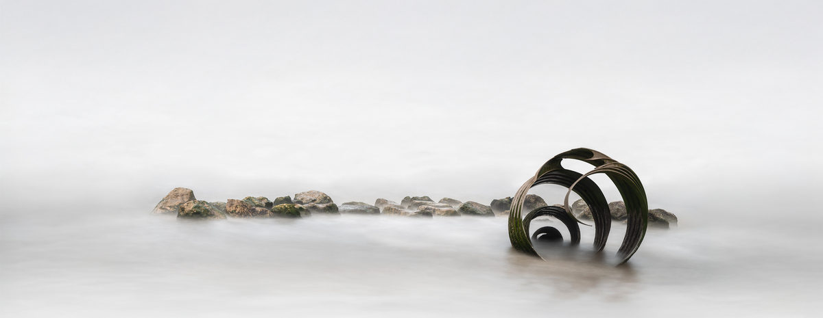 7 - On the Rocks (Mary's Shell) - Andy Laing